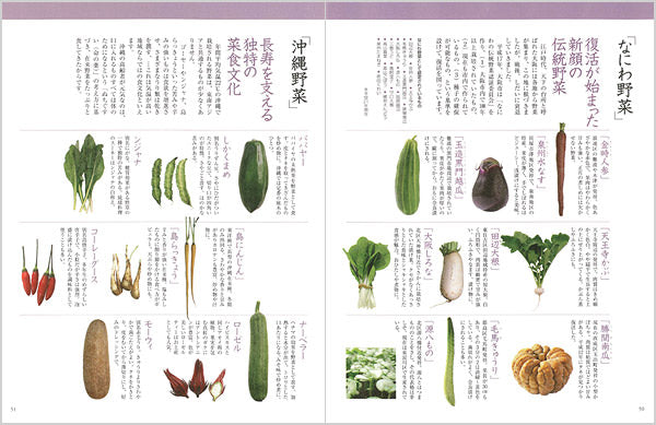 もっと からだにおいしい野菜の便利帳