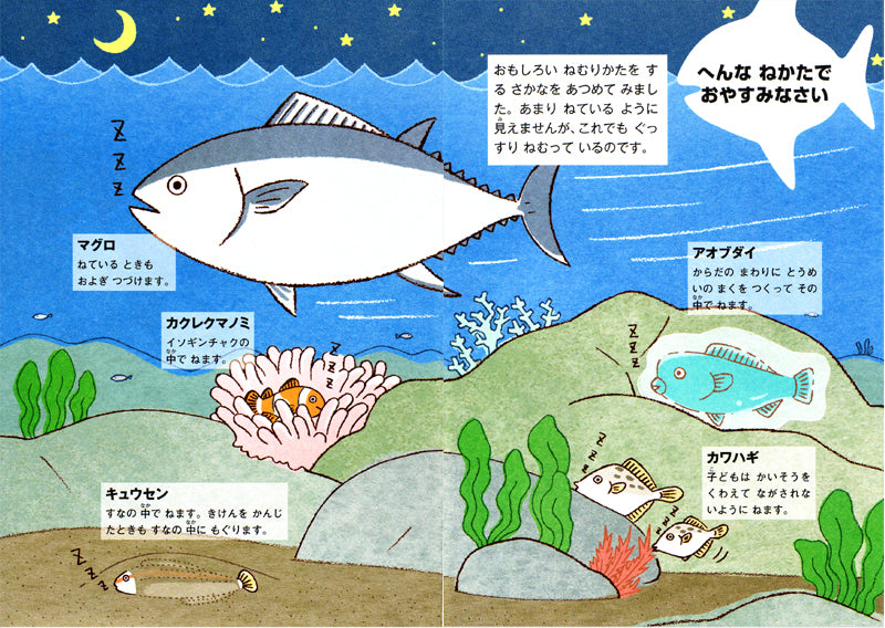 たのしい!かがくのふしぎ なぜ?どうして? 1年生