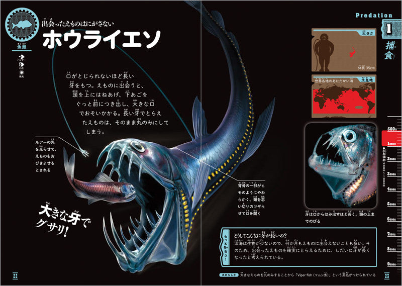 ふしぎな世界を見てみよう!深海生物 大図鑑