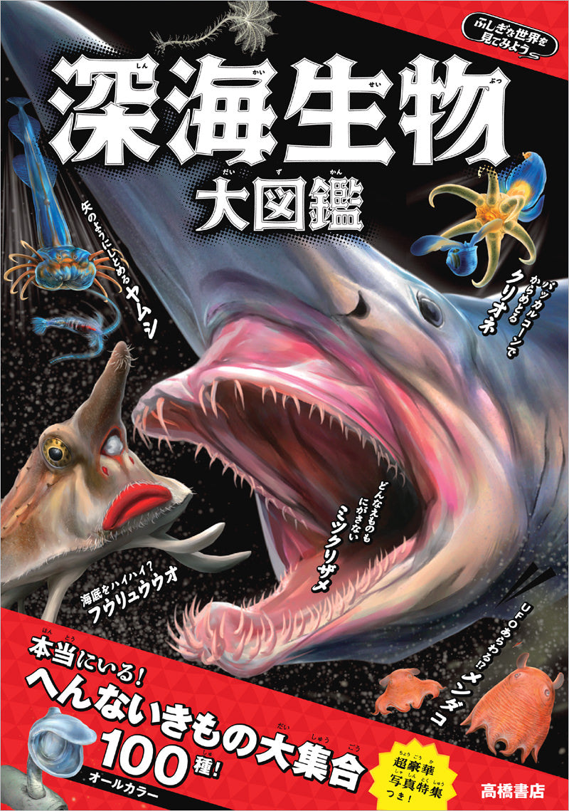 ふしぎな世界を見てみよう!深海生物 大図鑑