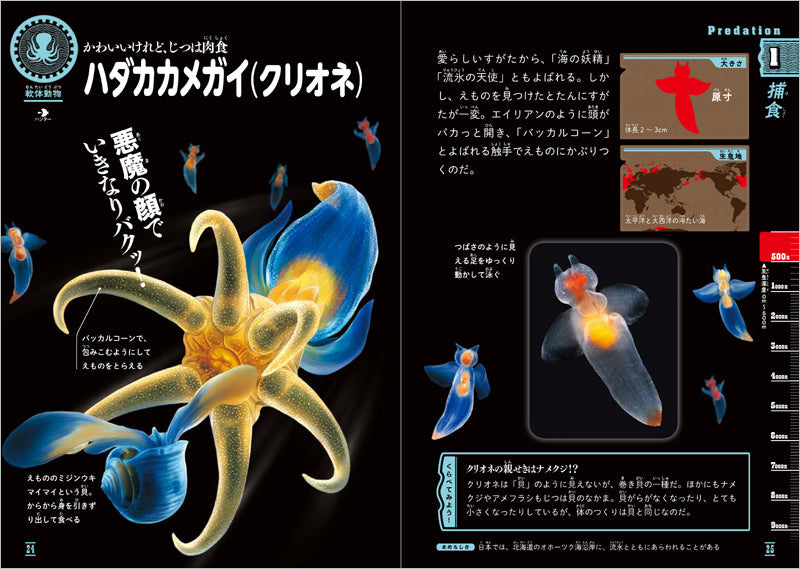 ふしぎな世界を見てみよう!深海生物 大図鑑