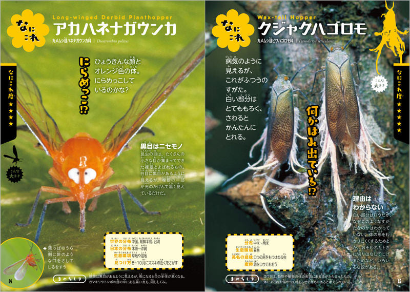 ふしぎな世界を見てみよう!びっくり昆虫 大図鑑