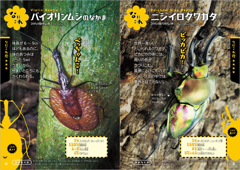 ふしぎな世界を見てみよう!びっくり昆虫 大図鑑