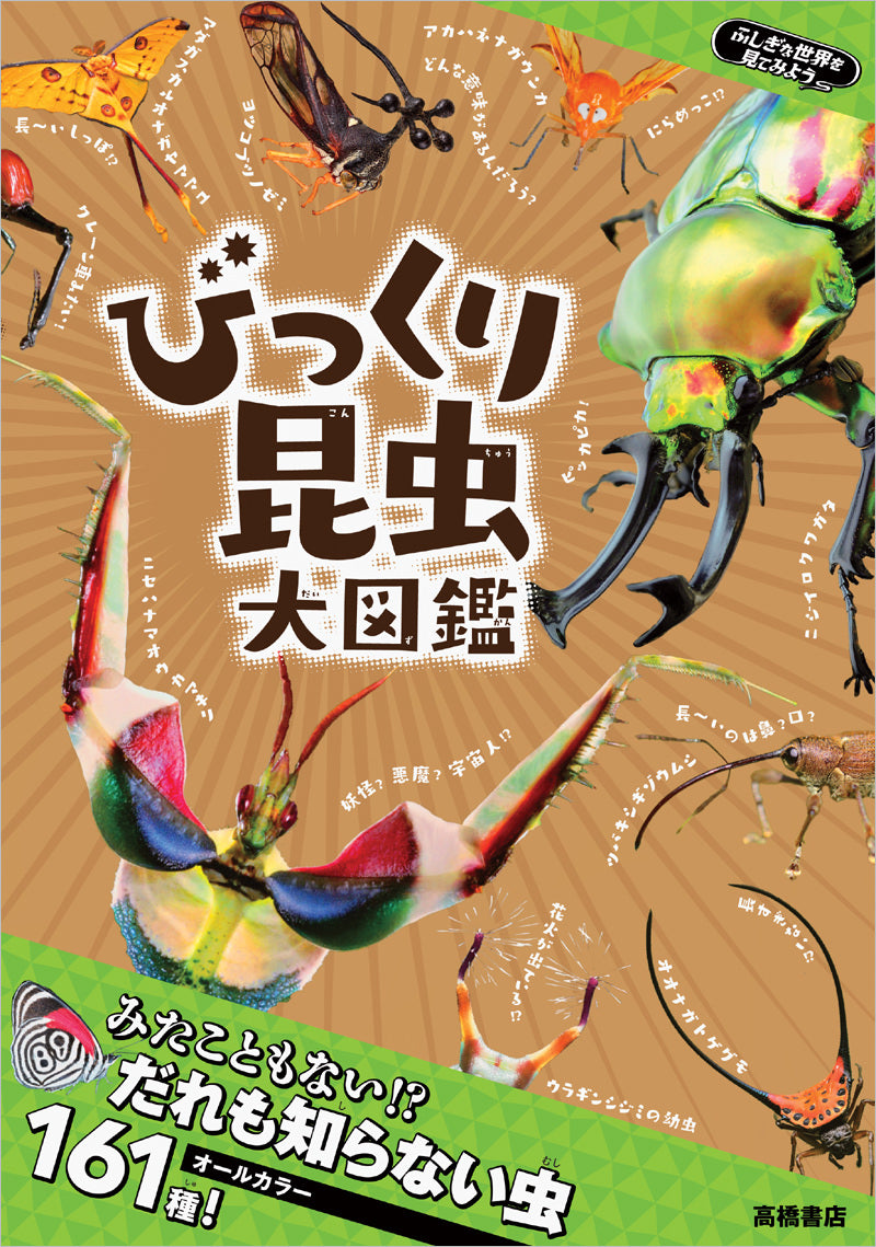 ふしぎな世界を見てみよう!びっくり昆虫 大図鑑