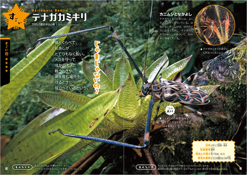 ふしぎな世界を見てみよう!びっくり昆虫 大図鑑