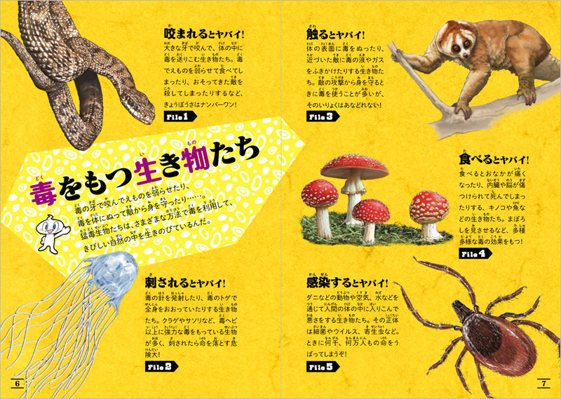 ふしぎな世界を見てみよう!猛毒生物 大図鑑