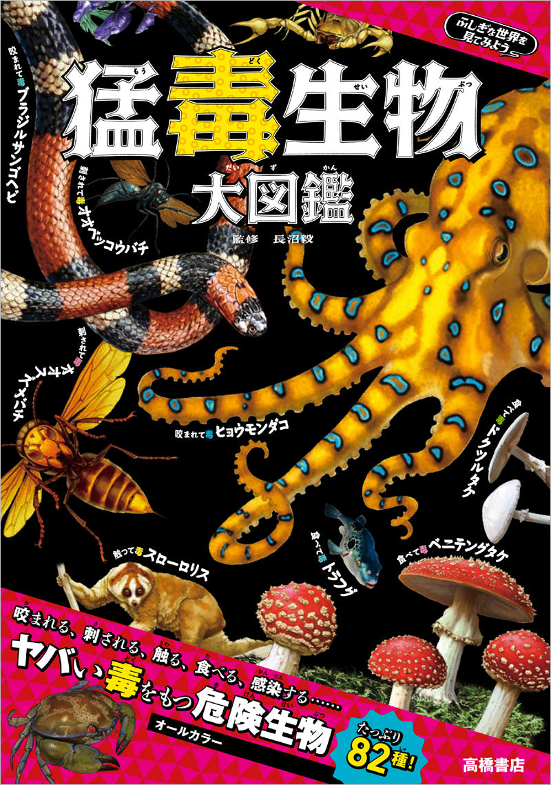 ふしぎな世界を見てみよう!猛毒生物 大図鑑