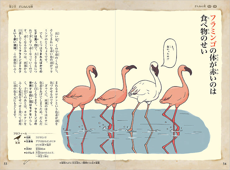 おもしろい!進化のふしぎ ざんねんないきもの事典