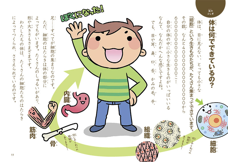 からだのふしぎ なぜ? どうして?