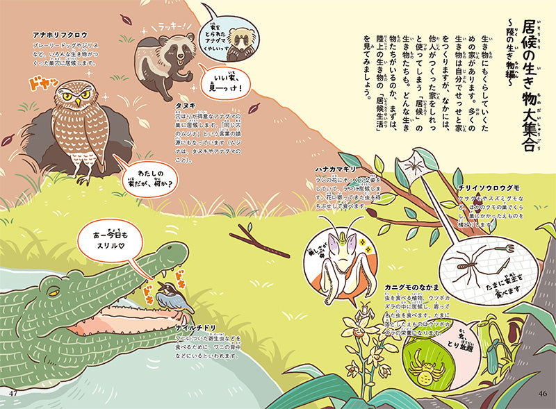 おもしろい!進化のふしぎ やっぱりざんねんないきもの事典