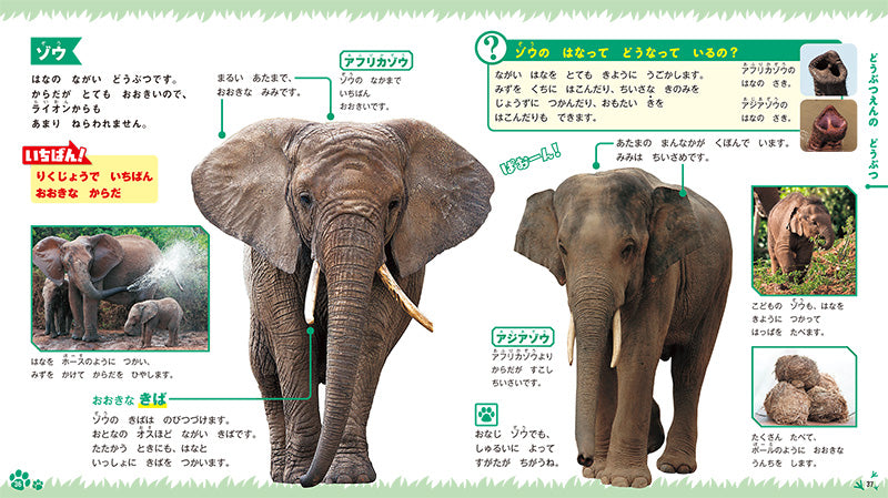はじめてのずかん どうぶつ