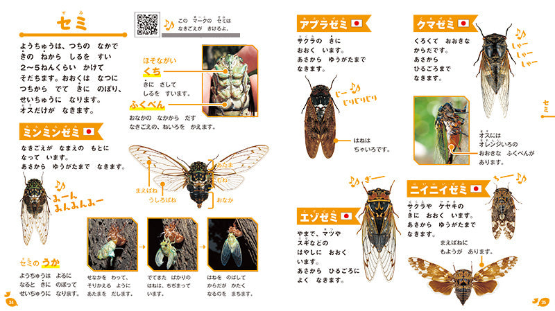 はじめてのずかん こんちゅう