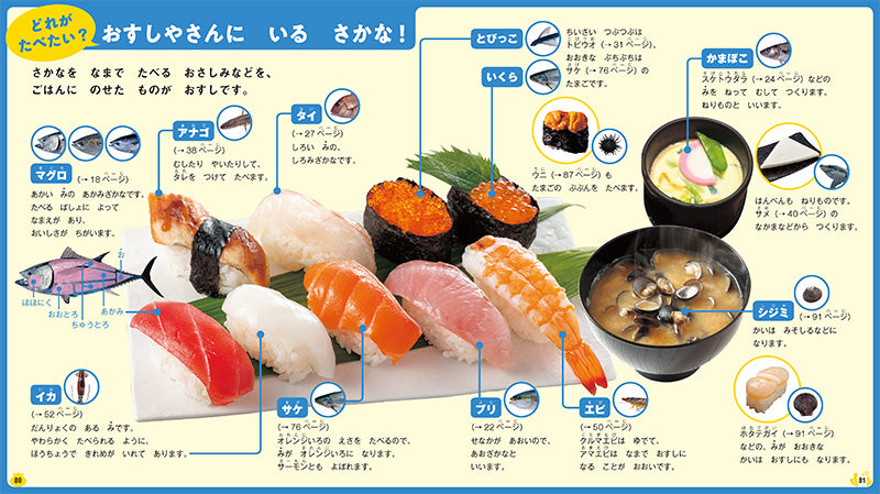 はじめてのずかん うみのいきもの