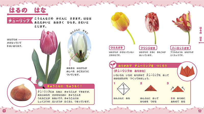はじめてのずかん しょくぶつ