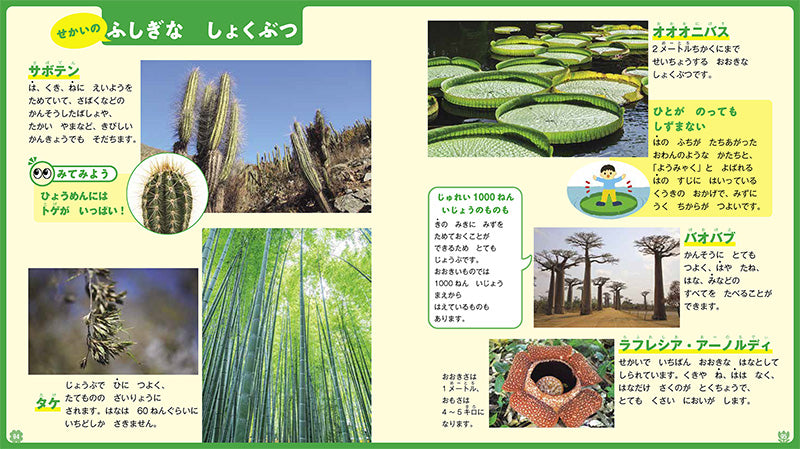 はじめてのずかん しょくぶつ