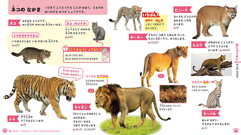 はじめてのずかん いきもの