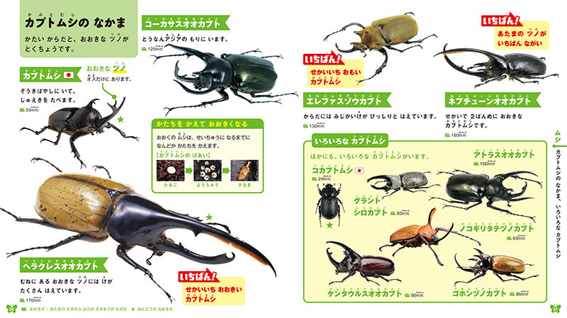 はじめてのずかん いきもの