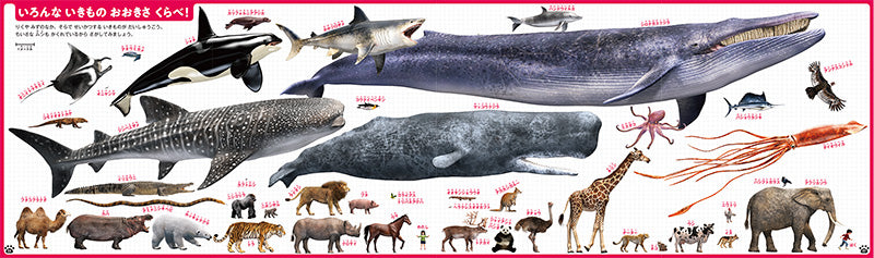 はじめてのずかん いきもの