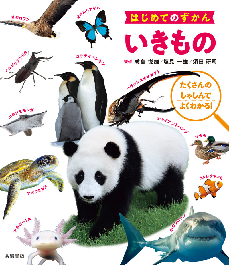 はじめてのずかん いきもの
