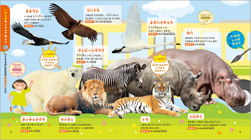 いちばん! がわかる はじめての くらべるずかん