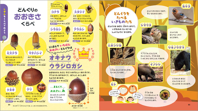 いちばん! がわかる はじめての くらべるずかん