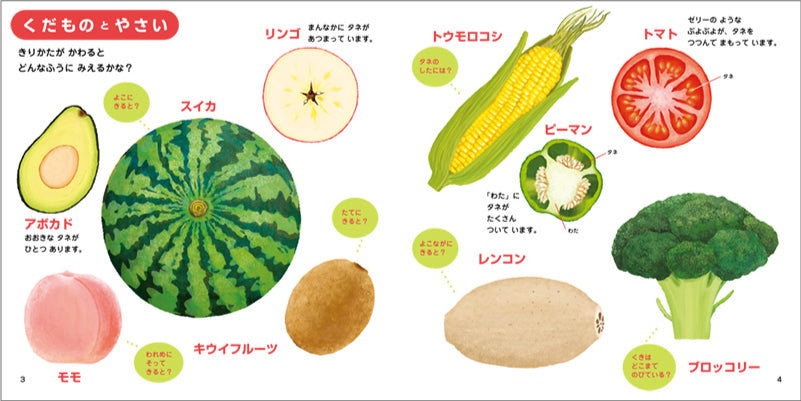めくってたのしい! しくみがわかる 断面図鑑