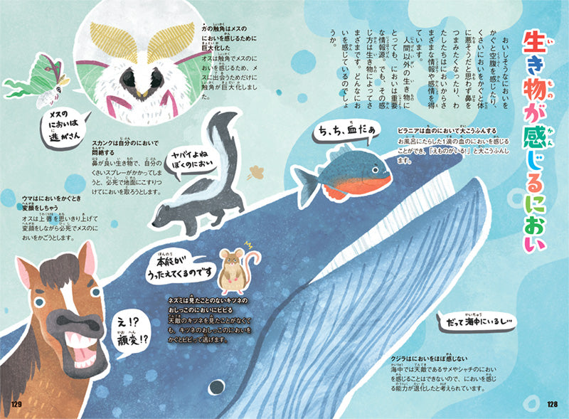 おもしろい!進化のふしぎ まだまだざんねんないきもの事典