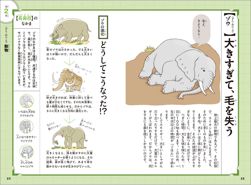 新ざんねんないきもの事典