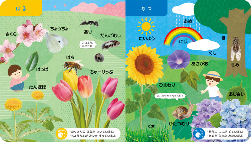 ことばをおぼえる ずかんえほん