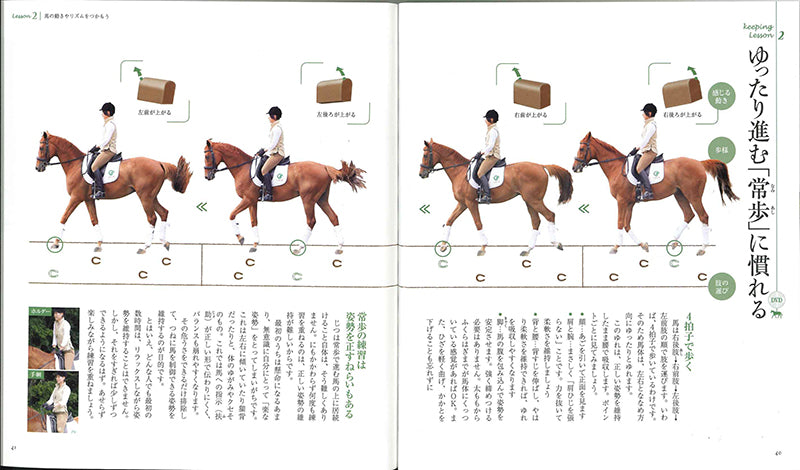 乗馬をはじめよう DVDレッスンつき