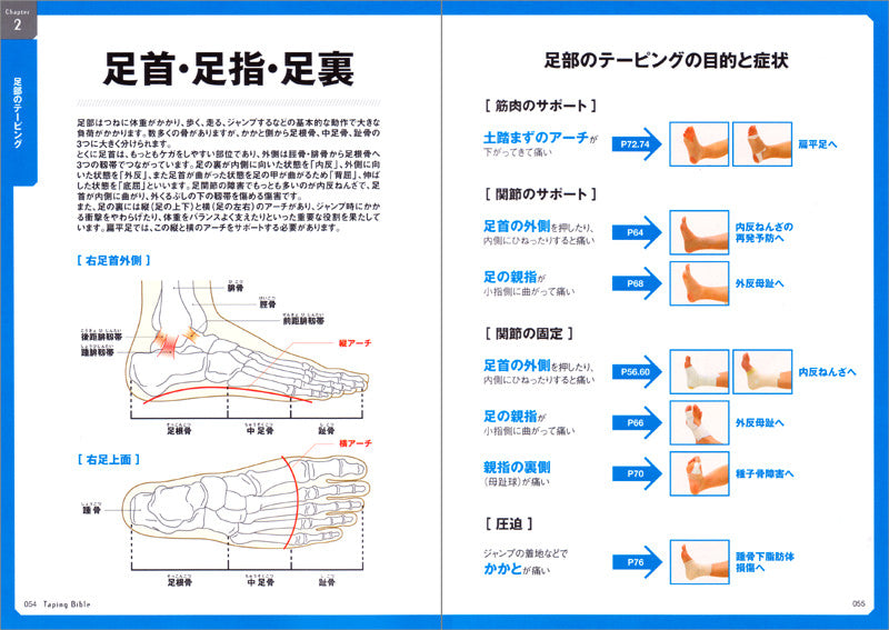 プロの技術が身につく!テーピングバイブル