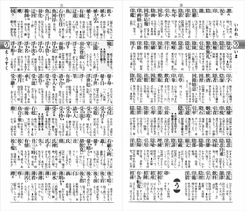 実用国語辞典 ポケット判 (赤)