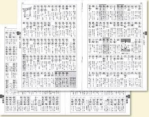 新版 日用語新字典 ポケット判 【白】