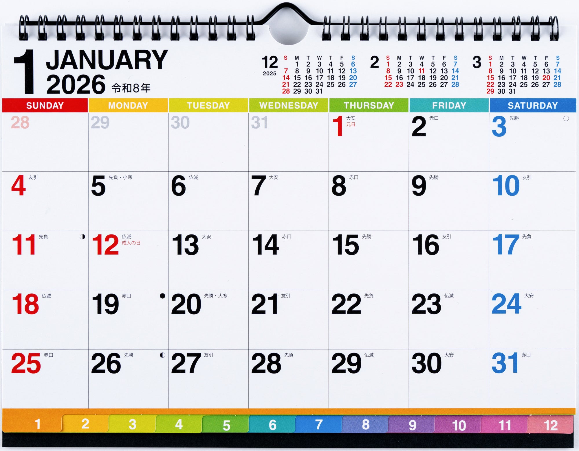 Rio カレンダー壁掛け 2026年版カレンダー｜【壁掛カレンダー】 ダイカット トリ柄