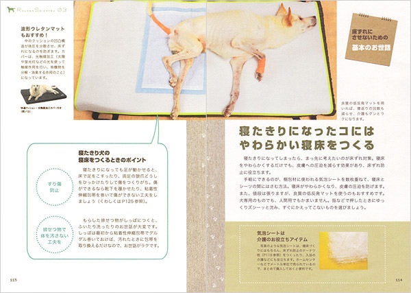老犬生活 完全ガイド