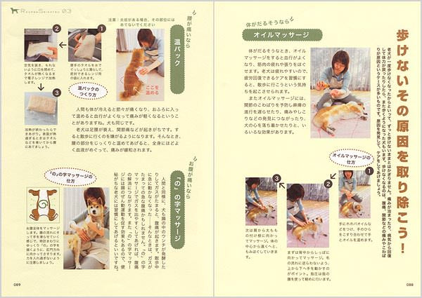 老犬ケア】