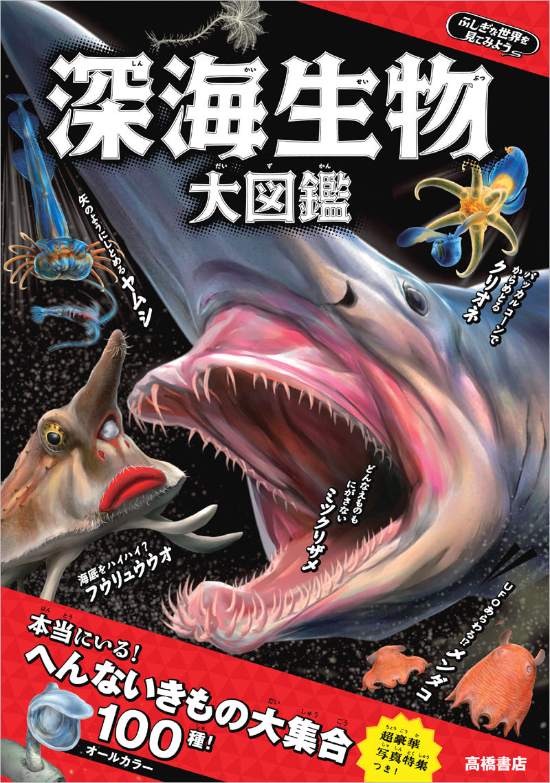 ふしぎな世界を見てみよう！深海生物 大図鑑