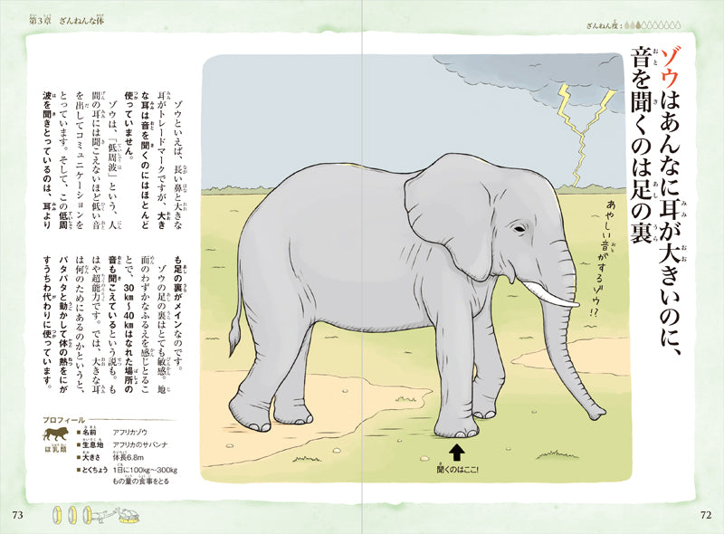 おもしろい！進化のふしぎ　続々ざんねんないきもの事典