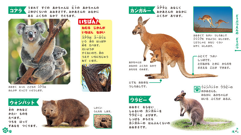 はじめてのずかん どうぶつ