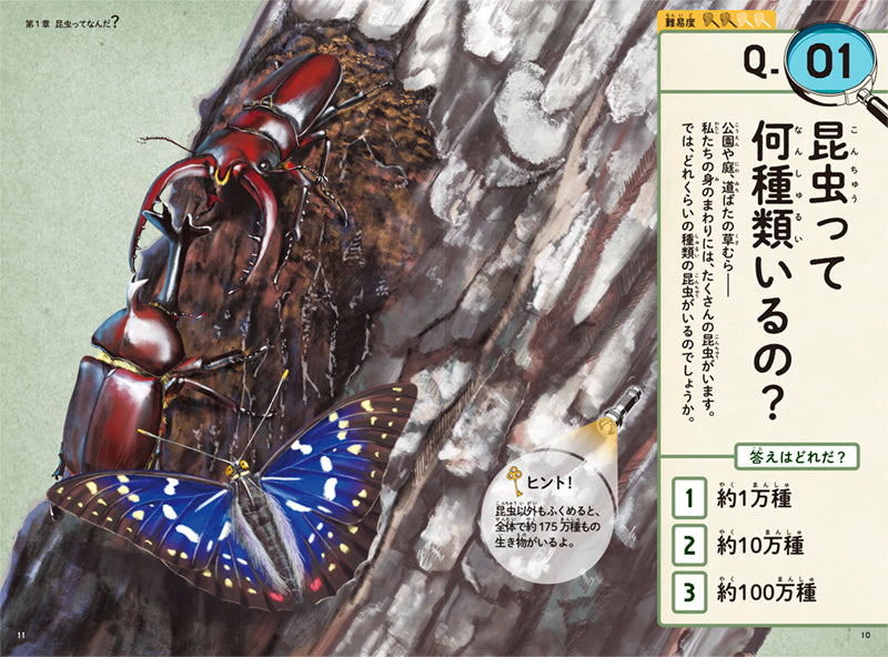 「好き」をきわめるクイズ　めざせ昆虫博士！