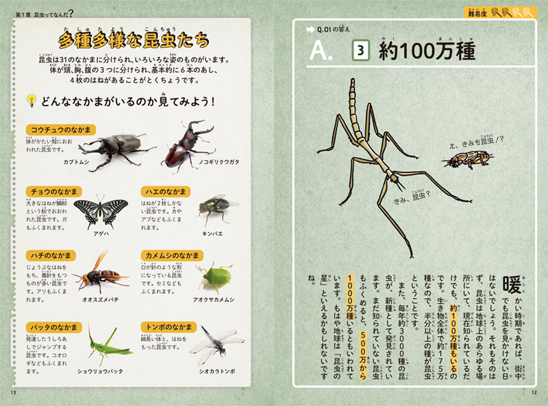 「好き」をきわめるクイズ　めざせ昆虫博士！