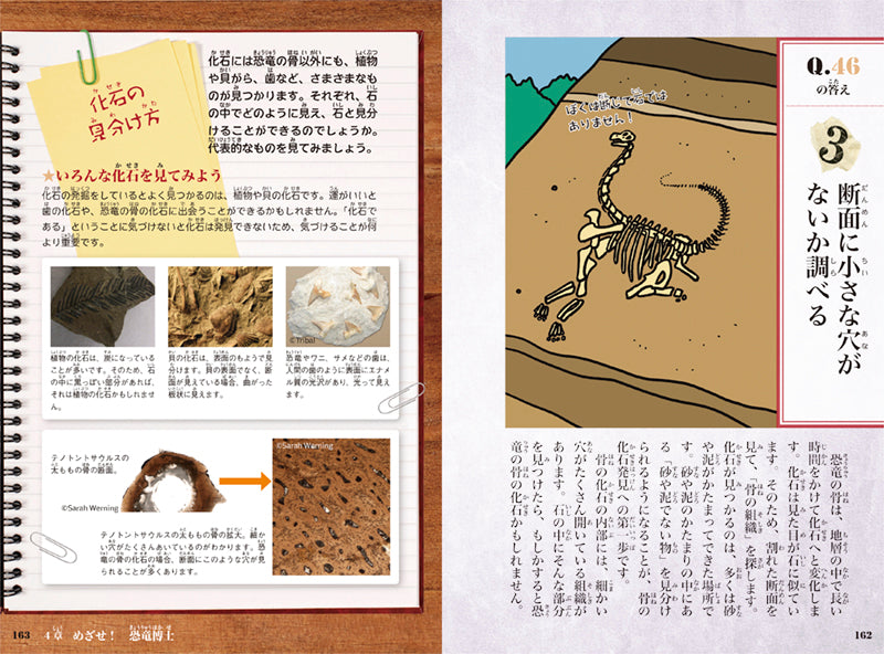 「好き」をきわめるクイズ　めざせ恐竜博士！