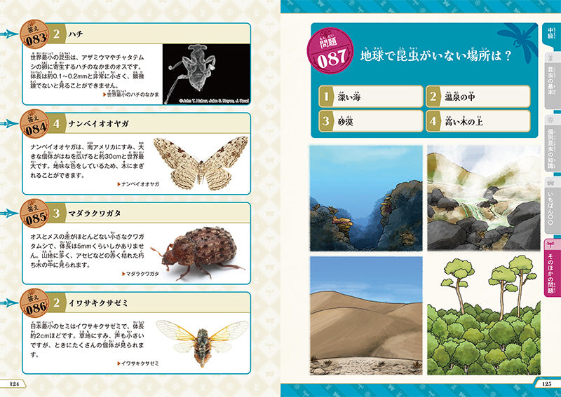 昆虫検定公式ガイドブック　初級・中級