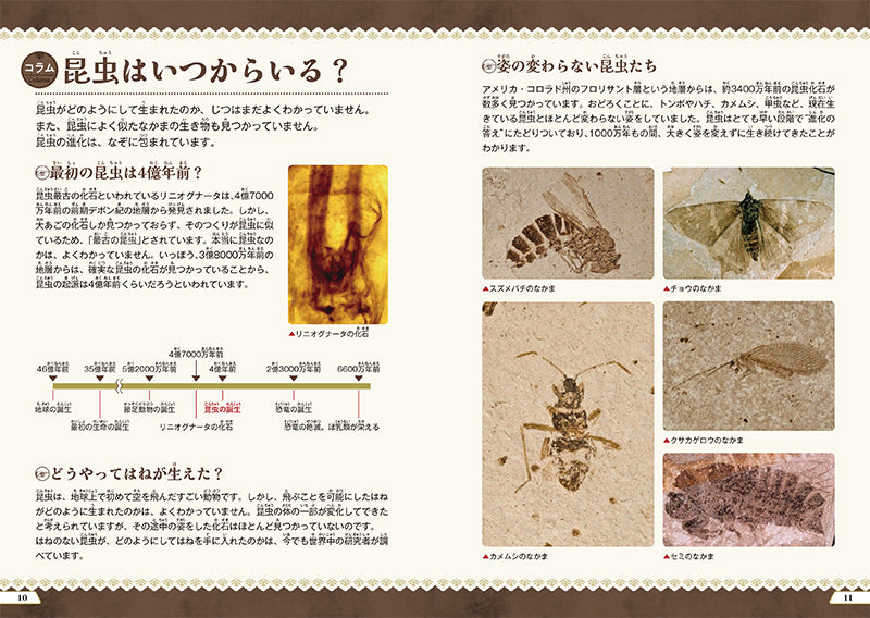 昆虫検定公式ガイドブック　初級・中級
