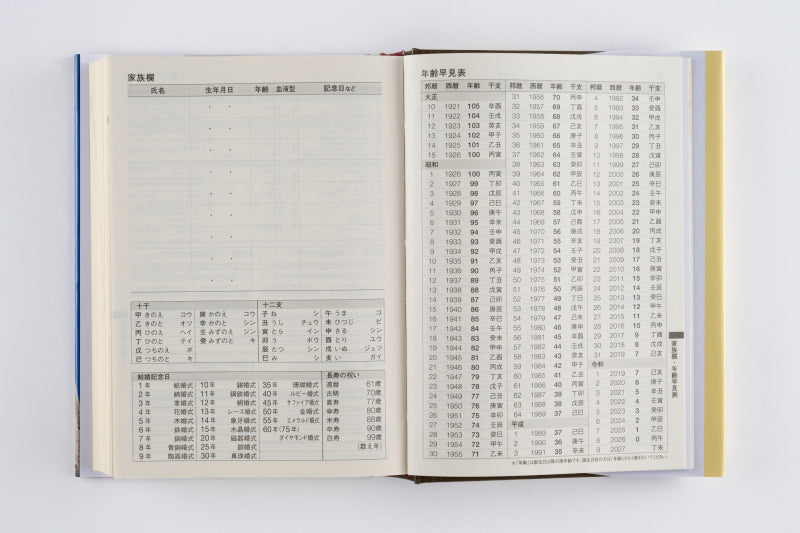 球陽 原文編 読み下し編 番外編セット No.11]中型横線当用新日記