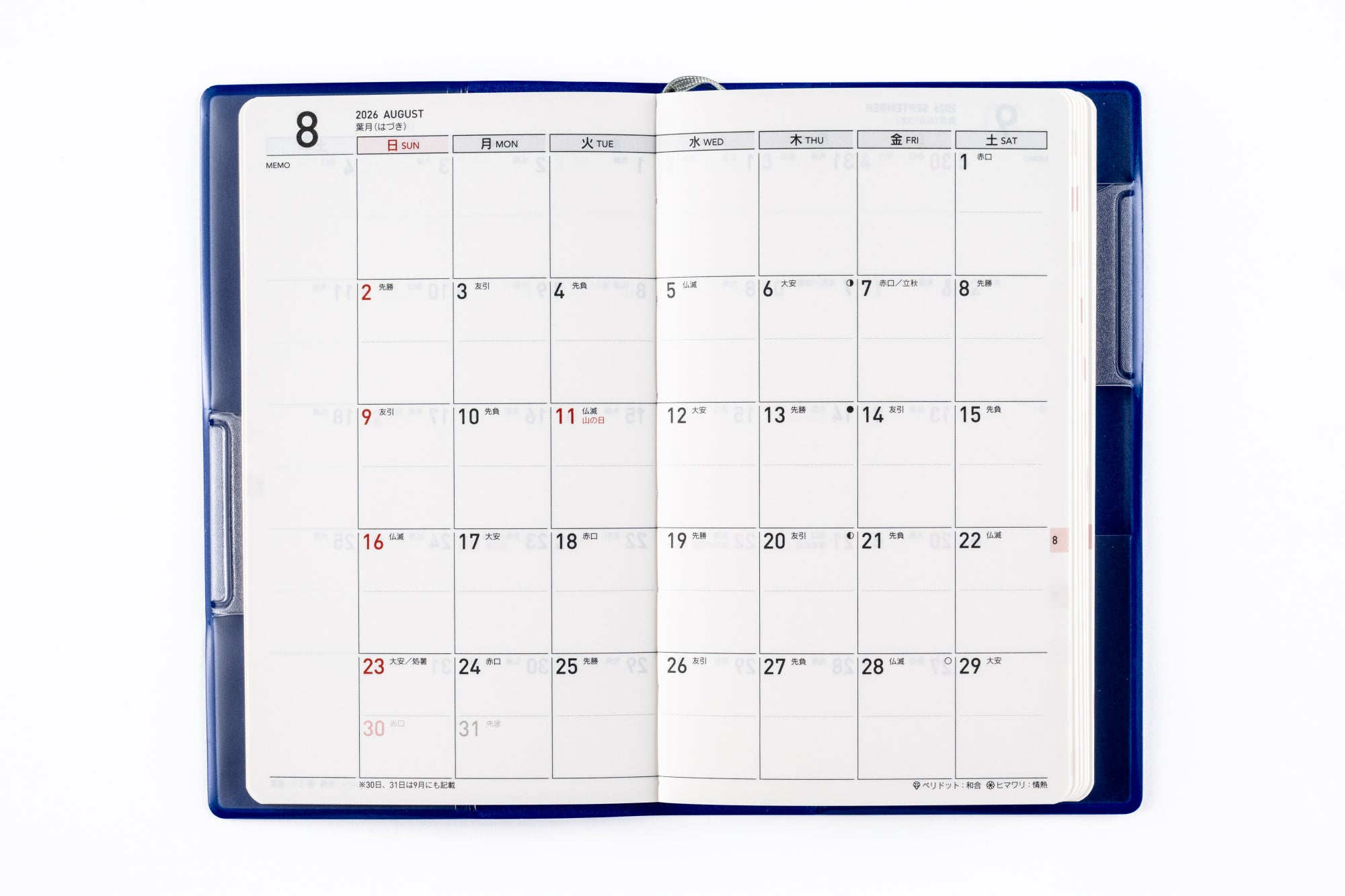 [No.155]T'mini （ティーズミニ） 2【ブルー】