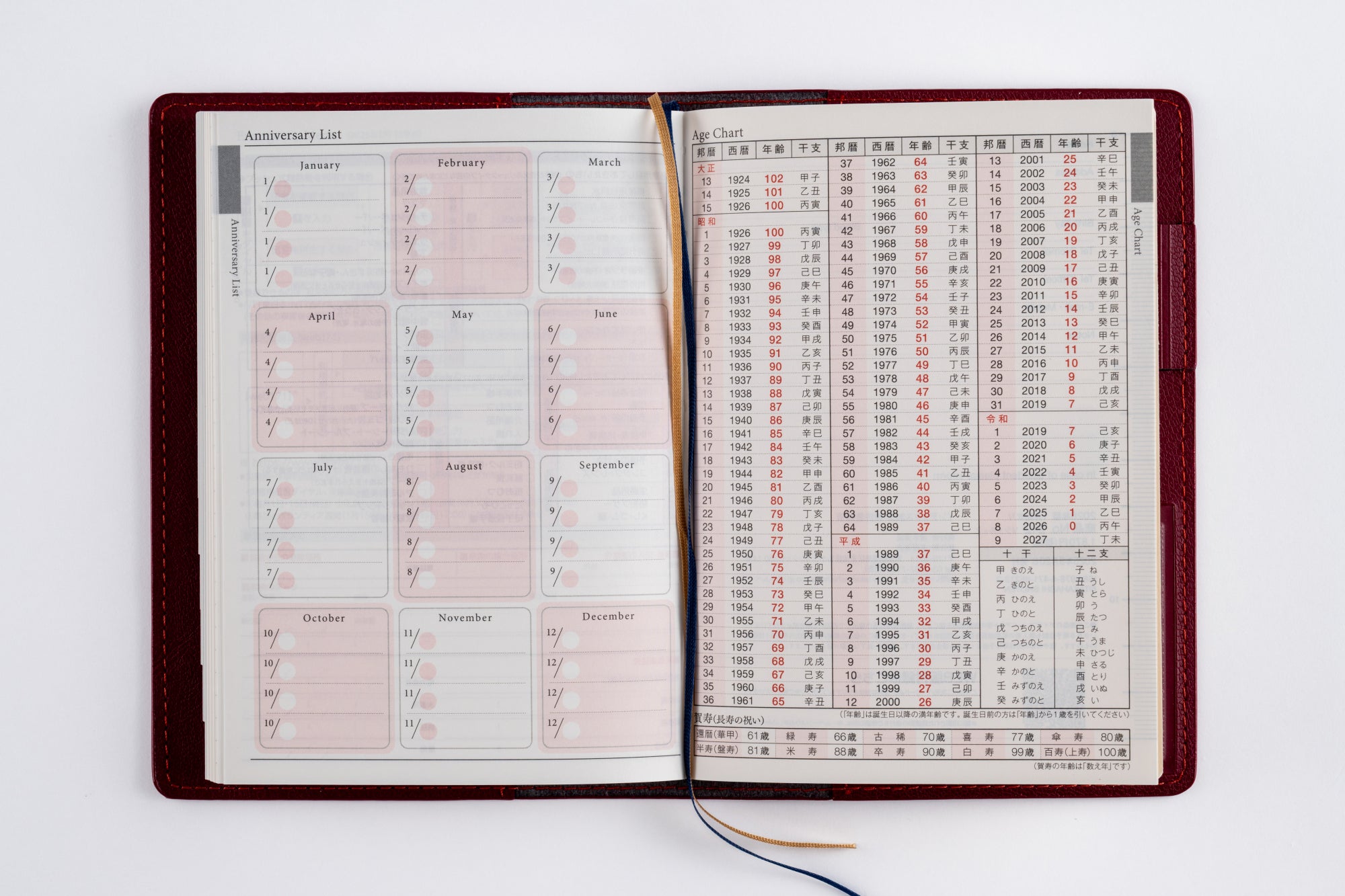 No.212]リシェル® 2【ビーツレッド】