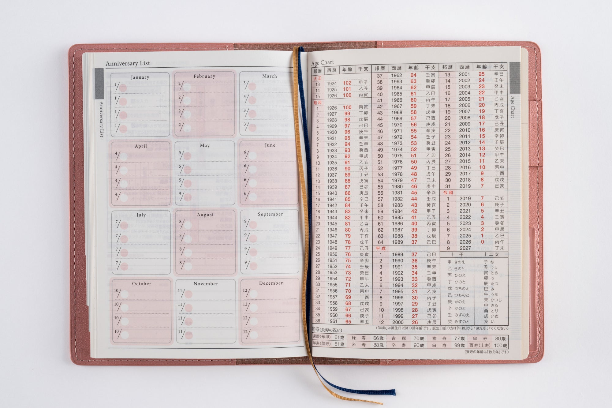 [No.216]リシェル® 6【マットローズピンク】