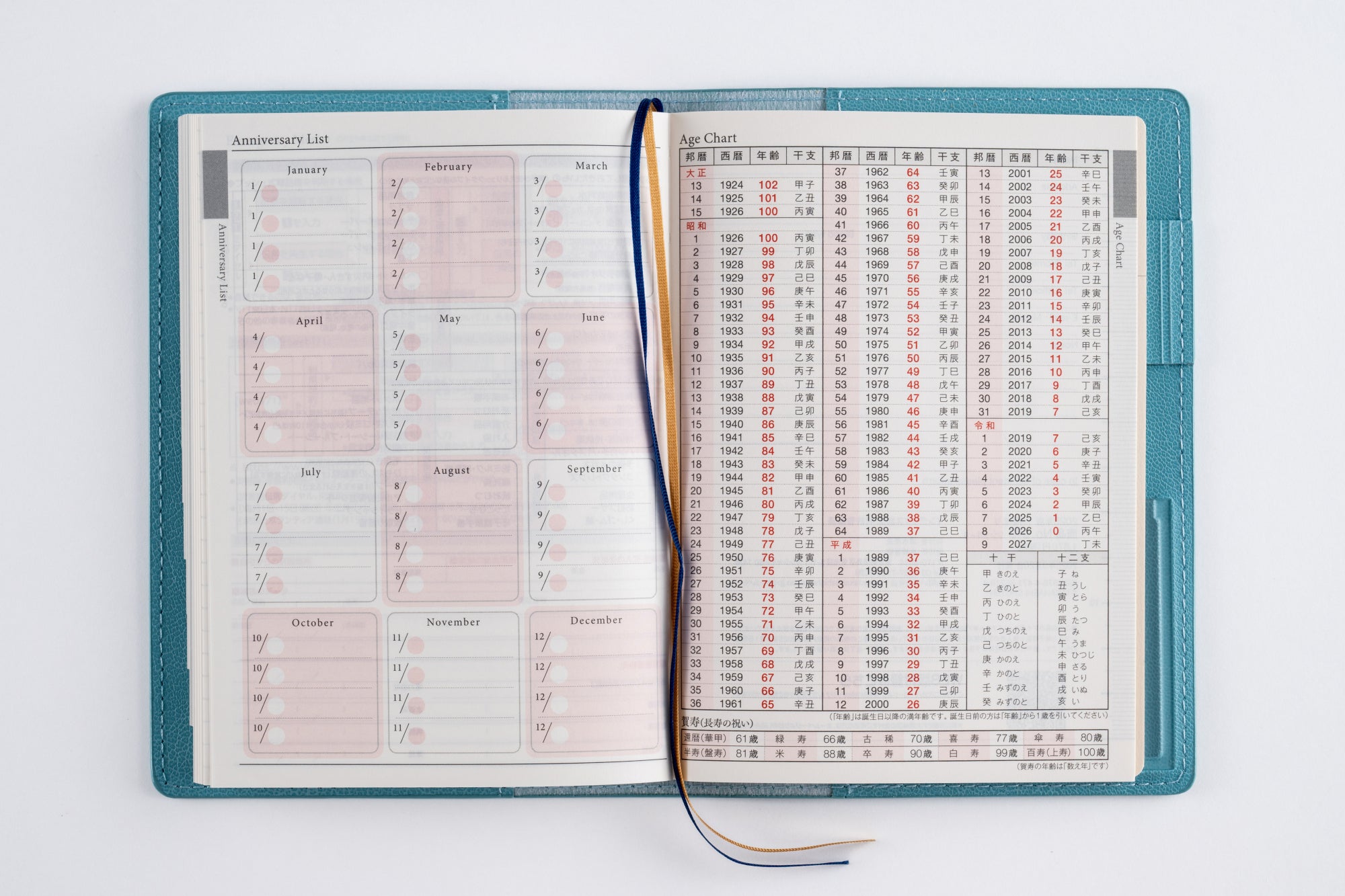 No.218]リシェル® 8【シャロウブルー】