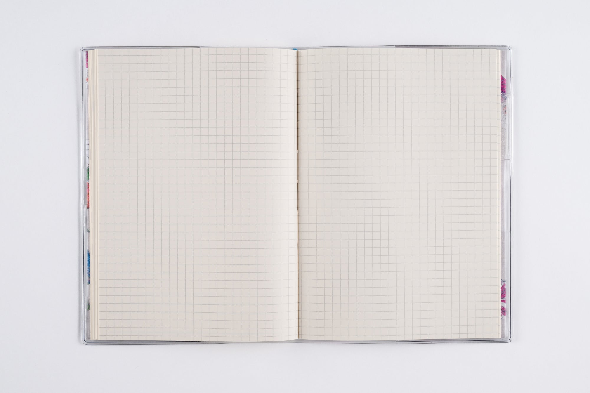 [No.248]ラフィーネ カルネ 2